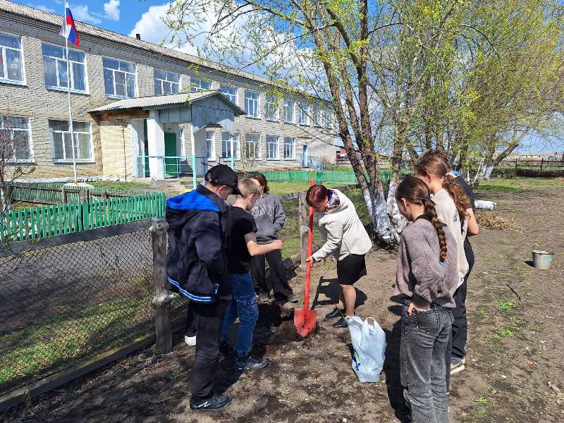 День дерева..