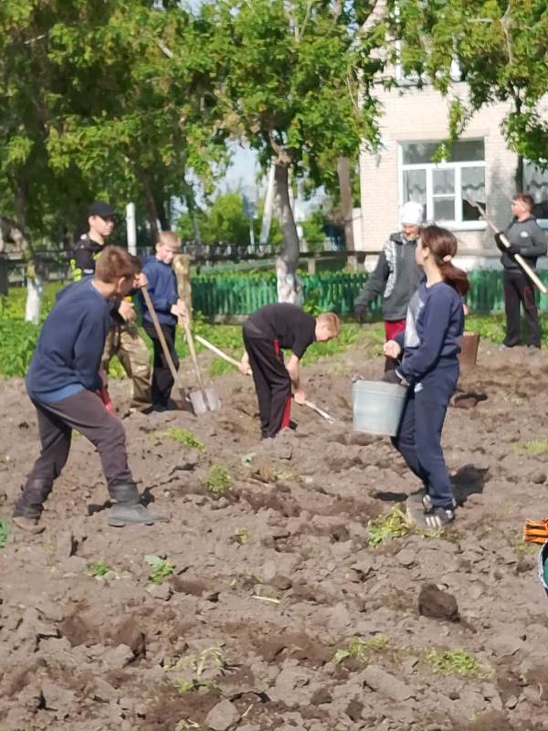Трудовое воспитание.